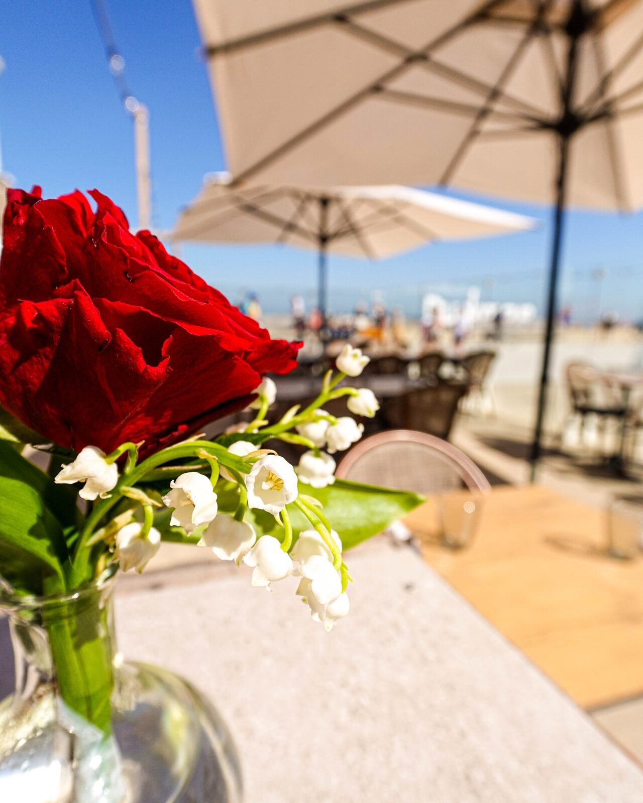 Rose rouge et muguet sur une table de la terrasse du My Malo